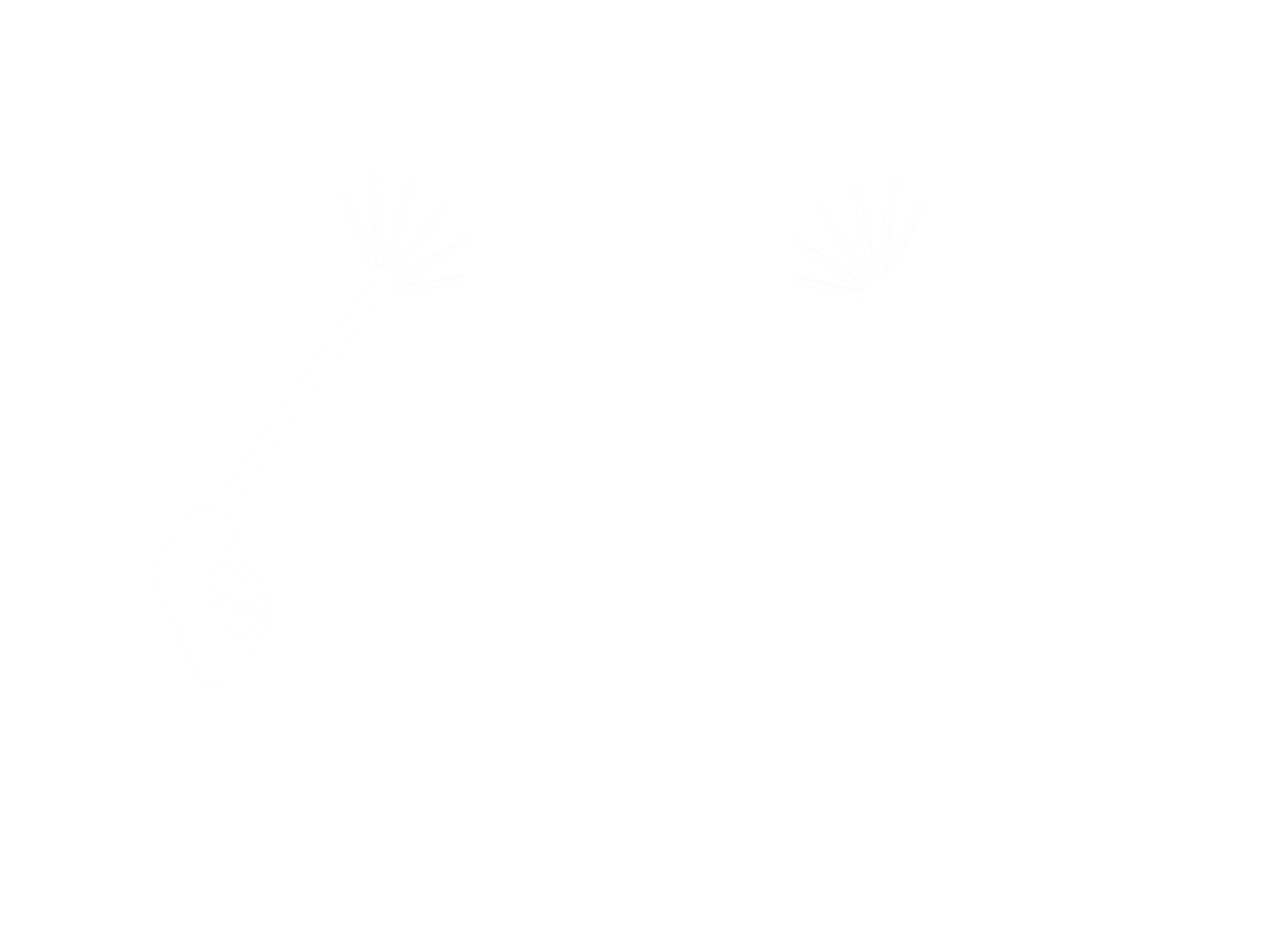 Anast Pressure Washing Logo featuring grapes